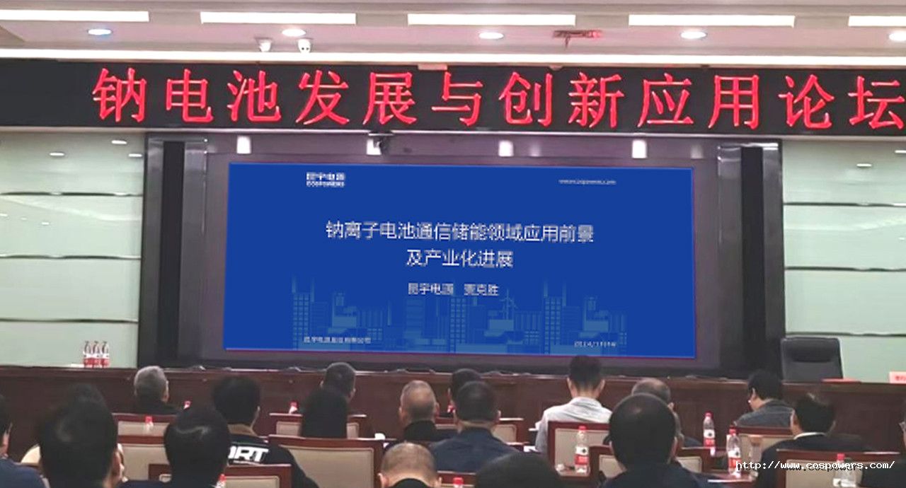 1732687207937775673y.jpg s01.jpg